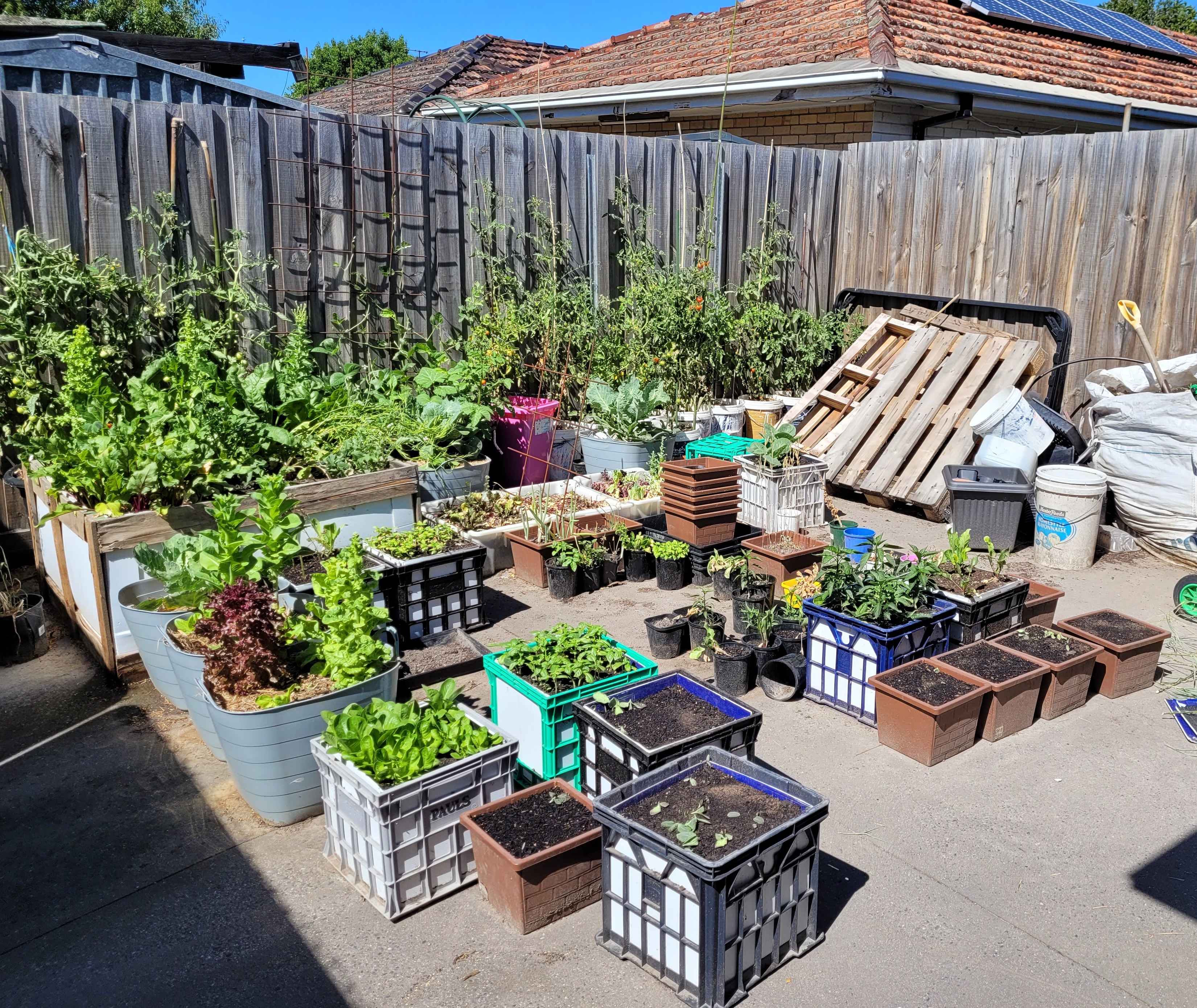 Our modular garden 